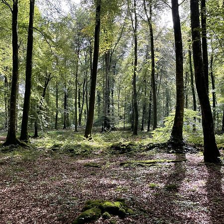 Le Courtil Βίλα Cerisy-la-Foret Εξωτερικό φωτογραφία